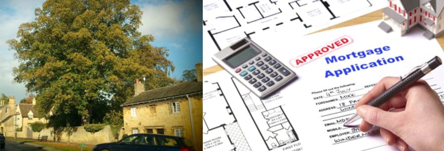 Nash Tree Consultancy - Mortgage Tree Reports
