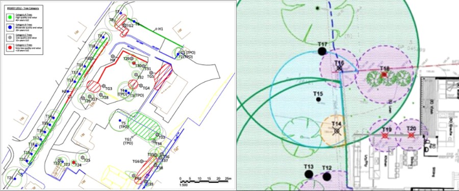Nash Tree Consultancy - Planning Tree Reports